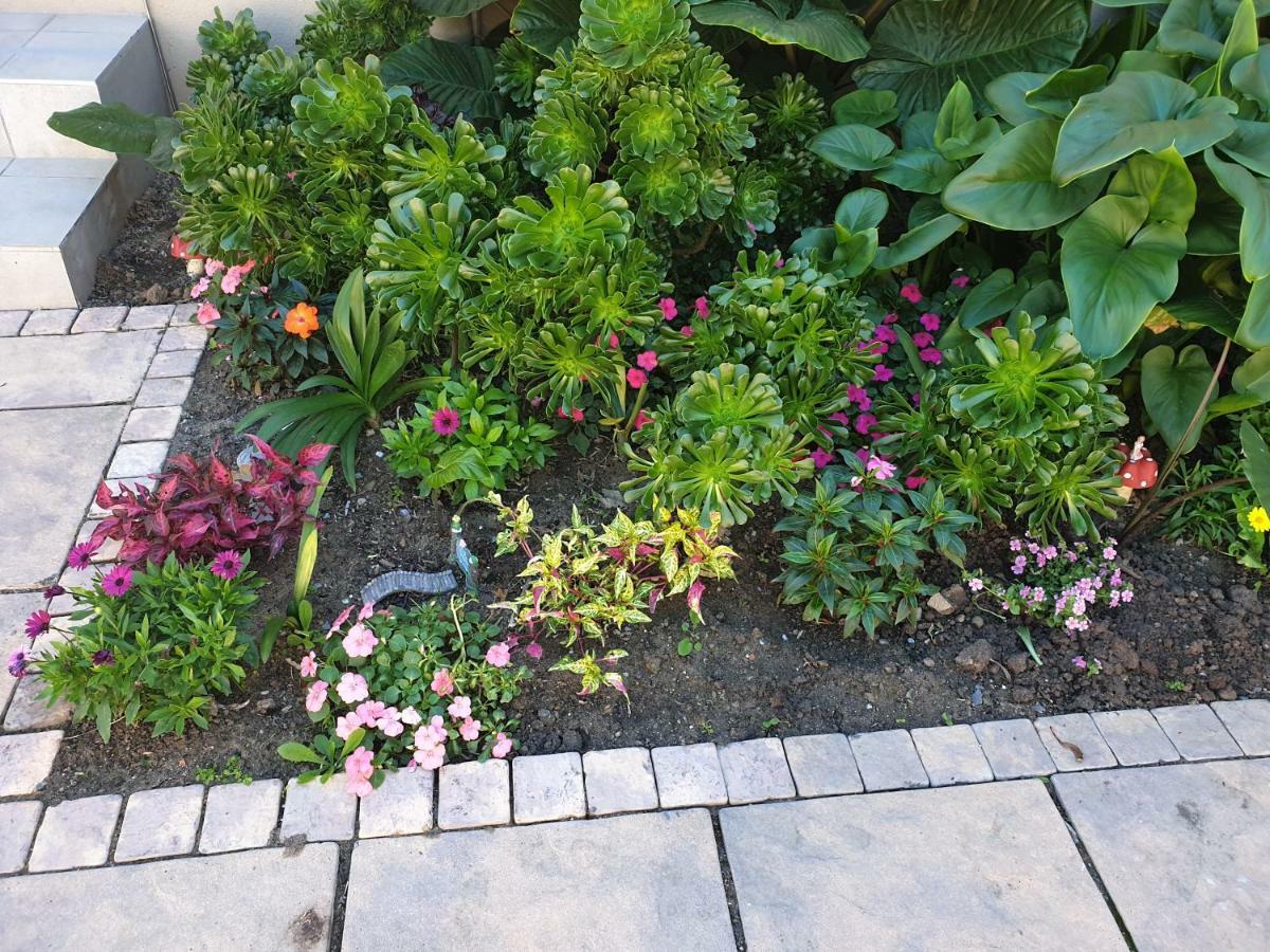 Dilisca Guesthouse Durbanville Luaran gambar