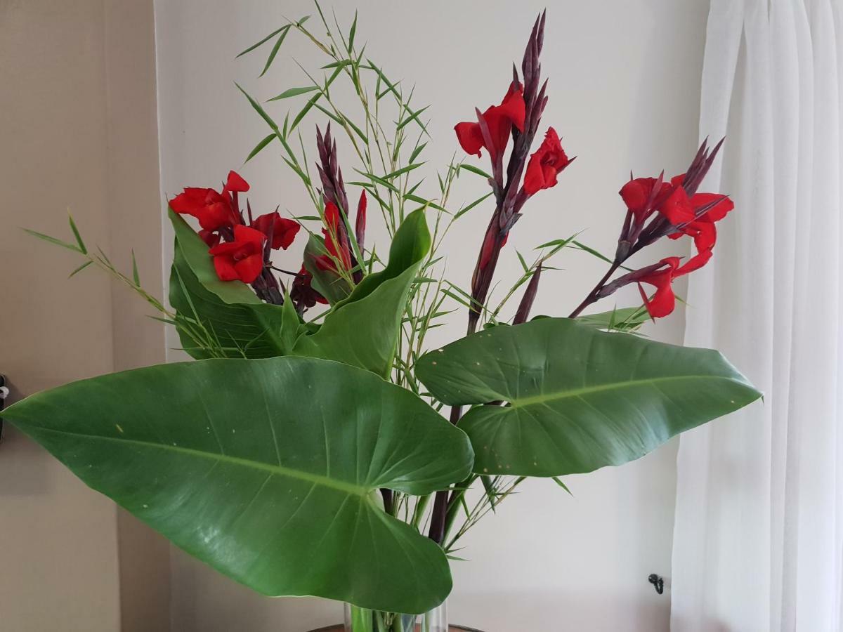 Dilisca Guesthouse Durbanville Luaran gambar